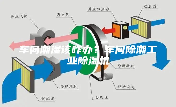 车间潮湿该咋办？车间除潮工业除湿机