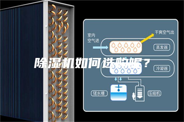 除湿机如何选购呢？