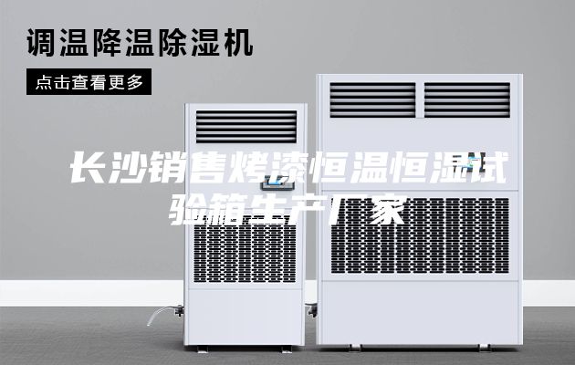 长沙销售烤漆恒温恒湿试验箱生产厂家