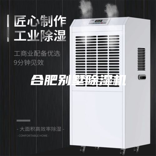 合肥别墅除湿机