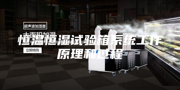 恒温恒湿试验箱系统工作原理和过程