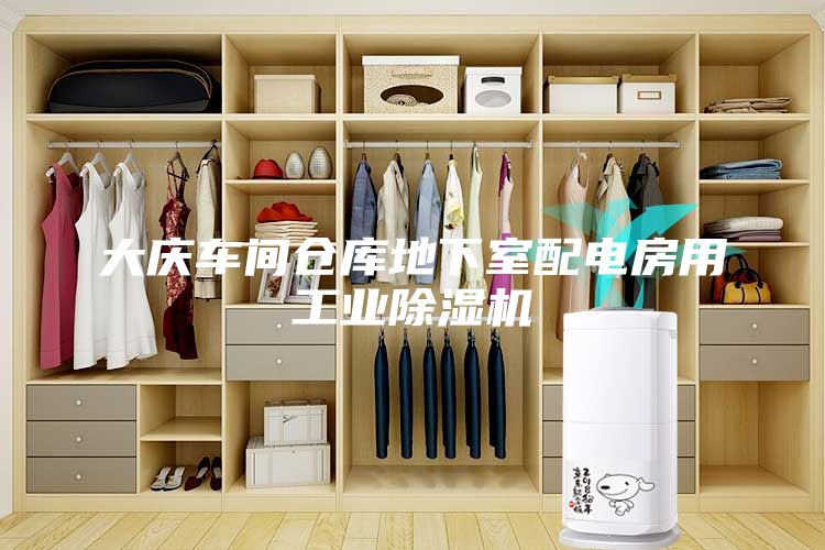 大庆车间仓库地下室配电房用工业除湿机