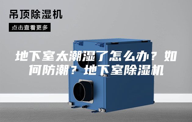 地下室太潮湿了怎么办？如何防潮？地下室除湿机