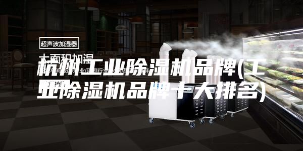 杭州工业除湿机品牌(工业除湿机品牌十大排名)