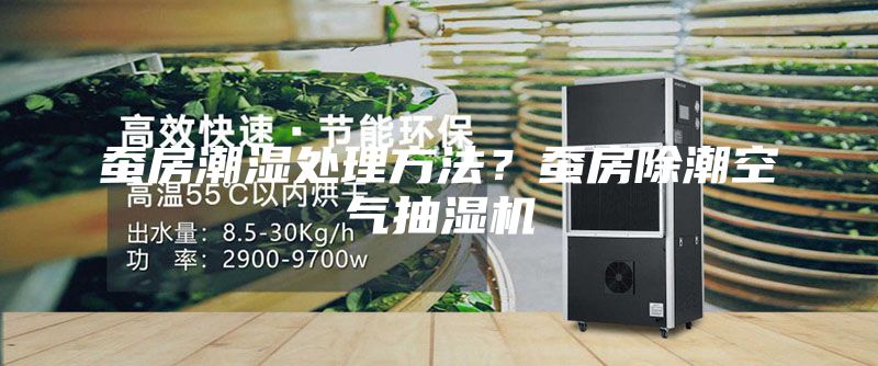 蚕房潮湿处理方法？蚕房除潮空气抽湿机