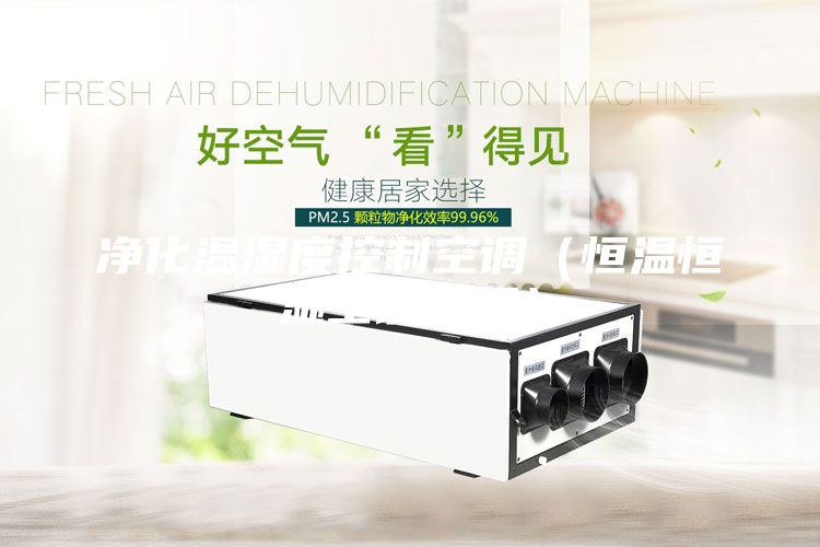 净化温湿度控制空调（恒温恒湿空调机组）