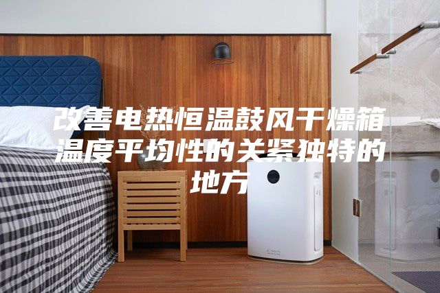 改善电热恒温鼓风干燥箱温度平均性的关紧独特的地方