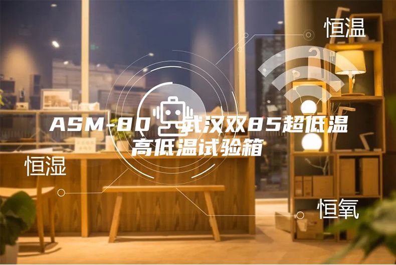 ASM-80  武汉双85超低温高低温试验箱