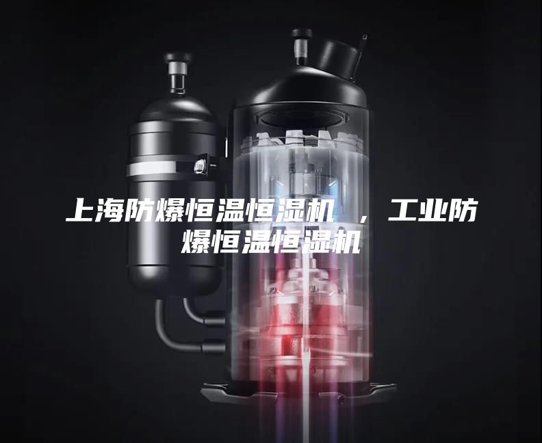 上海防爆恒温恒湿机 ，工业防爆恒温恒湿机