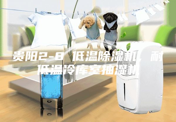 贵阳2-8℃低温除湿机，耐低温冷库室抽湿机