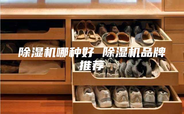 除湿机哪种好 除湿机品牌推荐