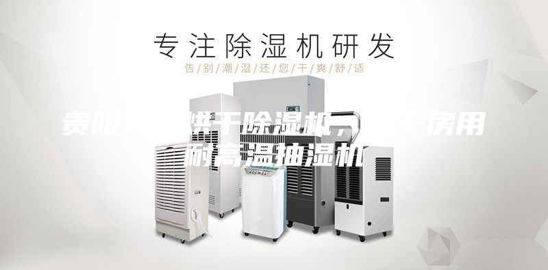 贵阳升温烘干除湿机，烘干房用耐高温抽湿机