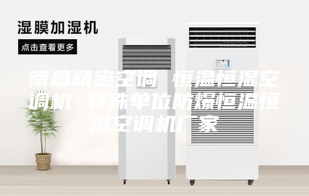 南昌精密空调 恒温恒湿空调机 特殊单位防爆恒温恒湿空调机厂家