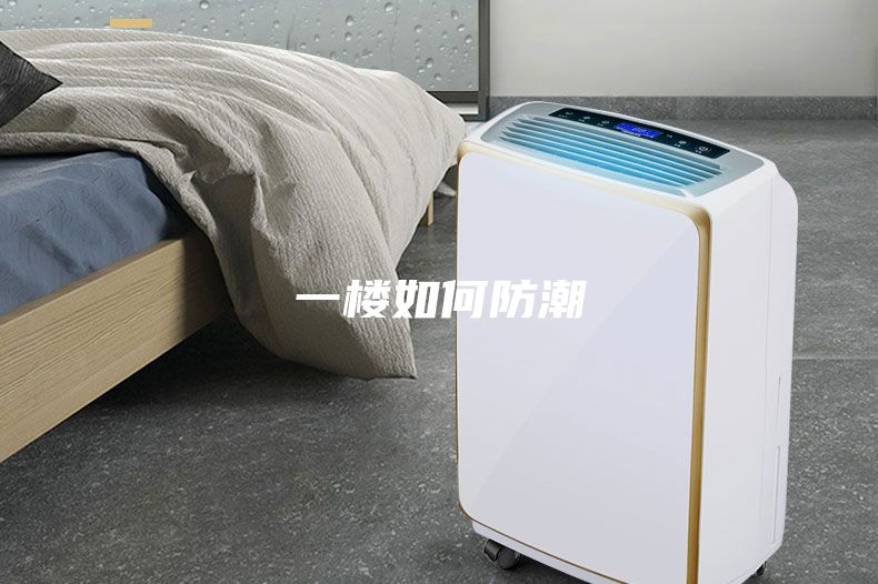 一楼如何防潮