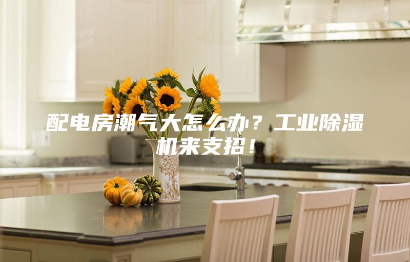 配电房潮气大怎么办？工业除湿机来支招！