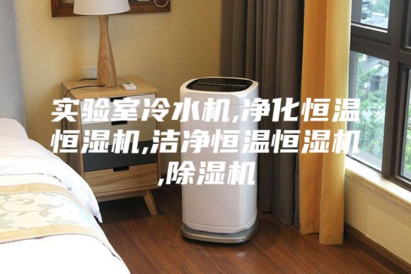 实验室冷水机,净化恒温恒湿机,洁净恒温恒湿机,除湿机