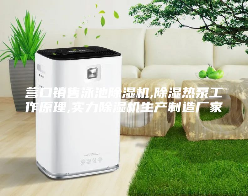 营口销售泳池除湿机,除湿热泵工作原理,实力除湿机生产制造厂家