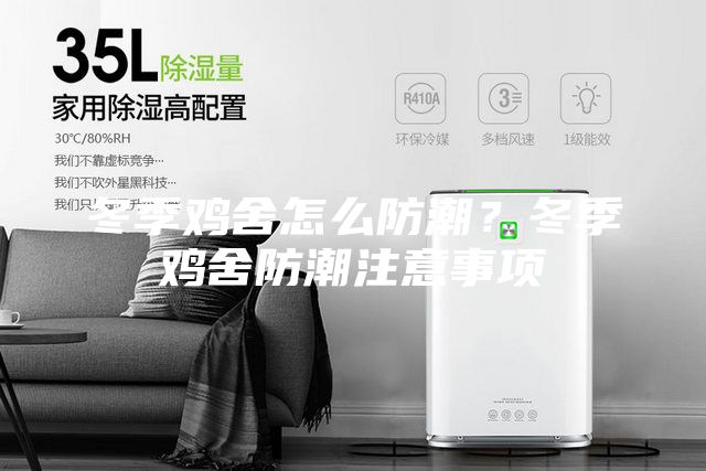 冬季鸡舍怎么防潮？冬季鸡舍防潮注意事项