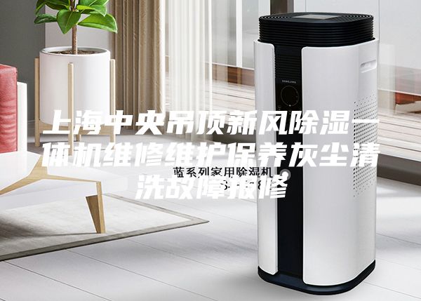 上海中央吊顶新风除湿一体机维修维护保养灰尘清洗故障报修