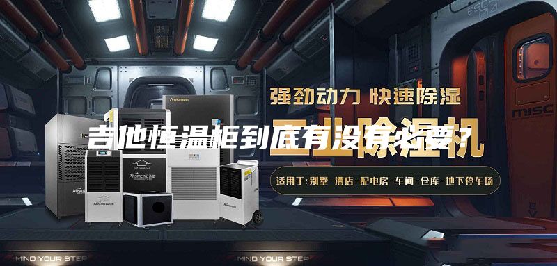 吉他恒温柜到底有没有必要？