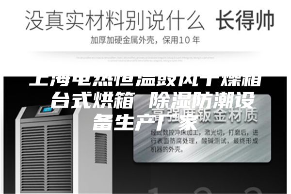 上海电热恒温鼓风干燥箱 台式烘箱 除湿防潮设备生产厂家
