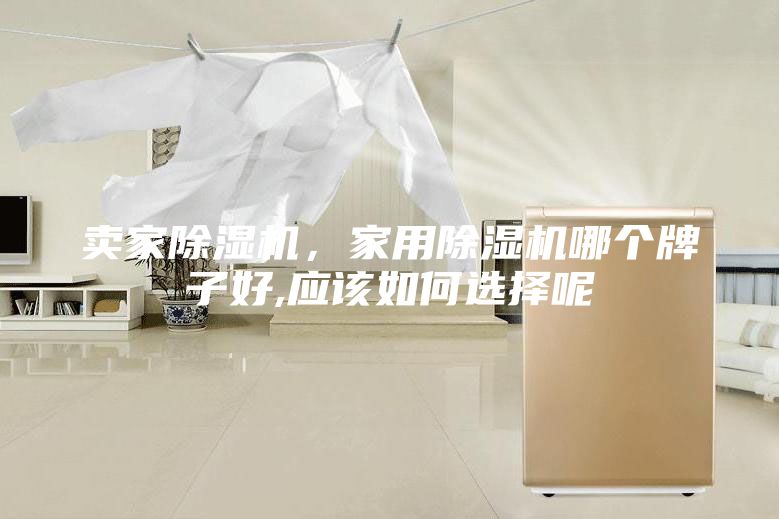 卖家除湿机，家用除湿机哪个牌子好,应该如何选择呢