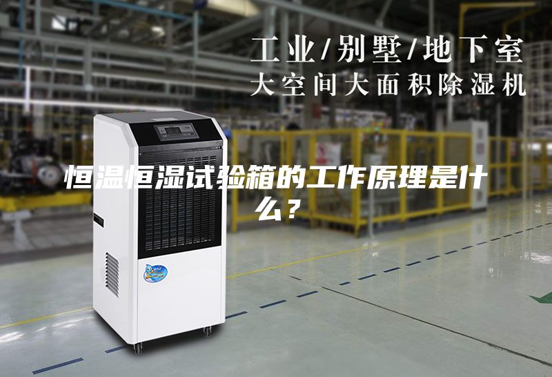 恒温恒湿试验箱的工作原理是什么？