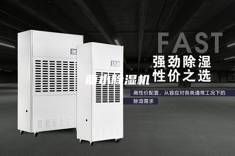 丽水除湿机