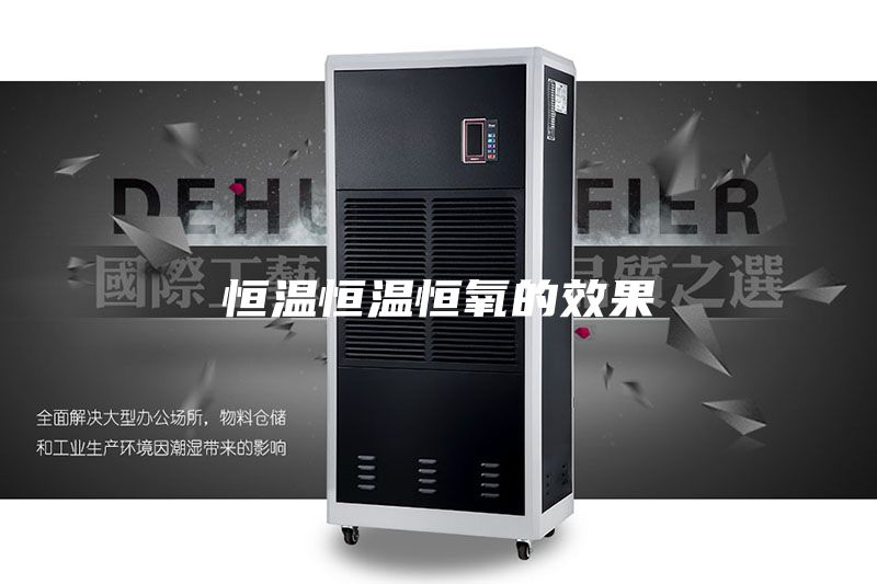 恒温恒温恒氧的效果
