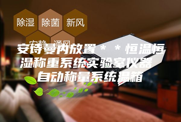 安诗曼内放置＊＊恒温恒湿称重系统实验室仪器 自动称量系统温箱
