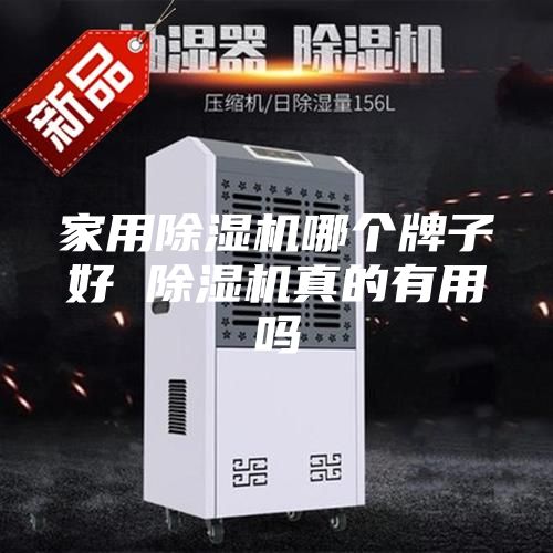 家用除湿机哪个牌子好 除湿机真的有用吗