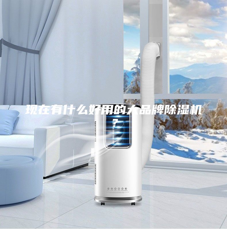 现在有什么好用的大品牌除湿机？