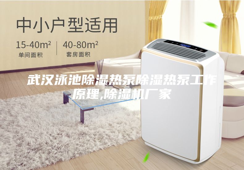 武汉泳池除湿热泵除湿热泵工作原理,除湿机厂家