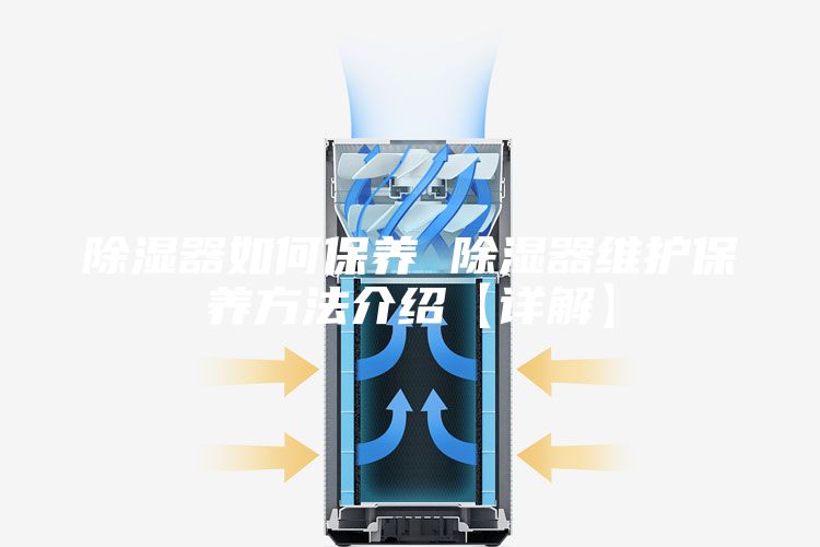 除湿器如何保养 除湿器维护保养方法介绍【详解】
