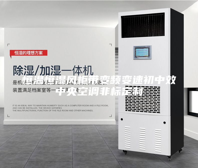恒温恒湿风柜带变频变速初中效中央空调非标定制