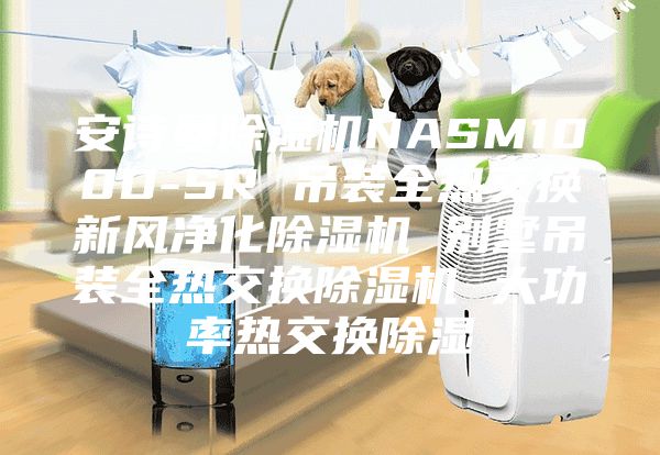 安诗曼除湿机NASM100D-SR 吊装全热交换新风净化除湿机 别墅吊装全热交换除湿机 大功率热交换除湿