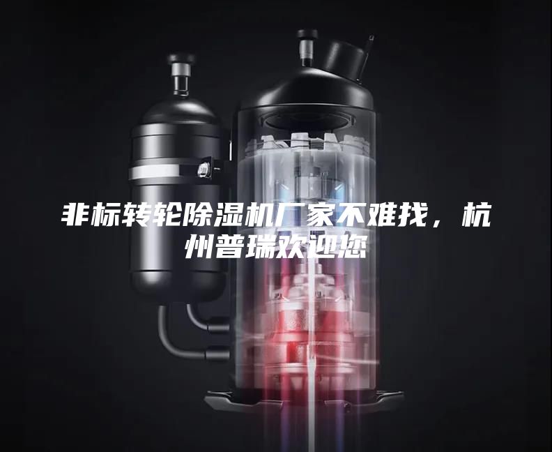 非标转轮除湿机厂家不难找，杭州普瑞欢迎您