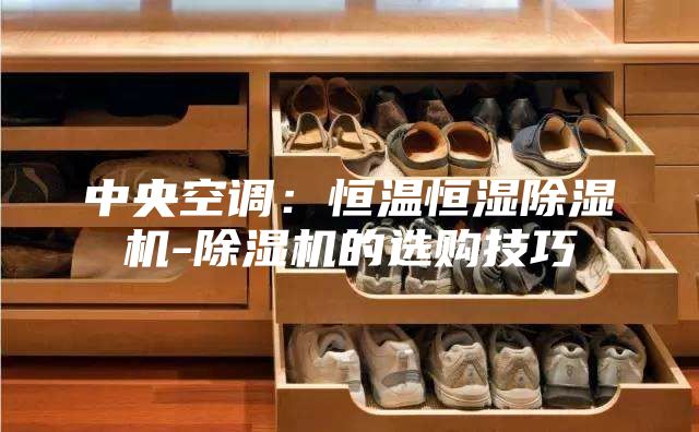 中央空调：恒温恒湿除湿机-除湿机的选购技巧