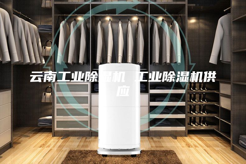云南工业除湿机 工业除湿机供应
