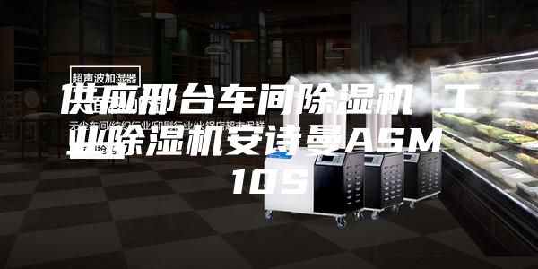 供应邢台车间除湿机 工业除湿机安诗曼ASM 10S