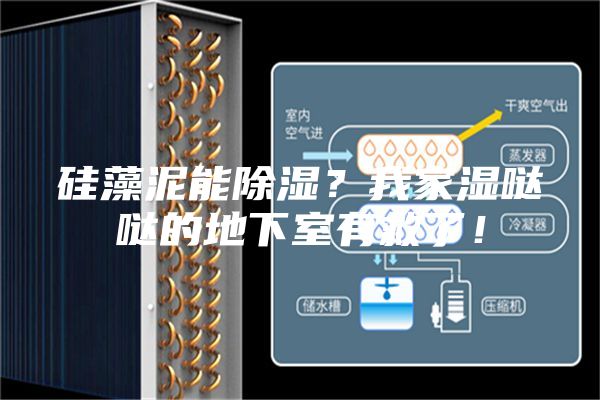 硅藻泥能除湿？我家湿哒哒的地下室有救了！