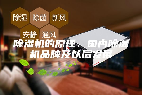 除湿机的原理、国内除湿机品牌及以后发展
