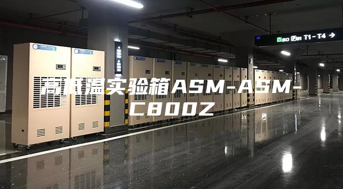 高低温实验箱ASM-ASM-C800Z