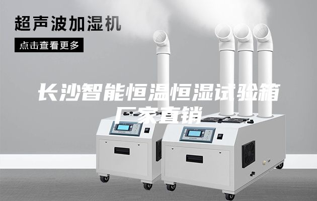 长沙智能恒温恒湿试验箱厂家直销