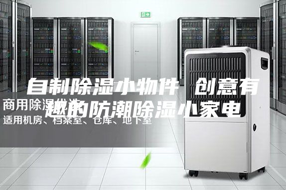 自制除湿小物件 创意有趣的防潮除湿小家电