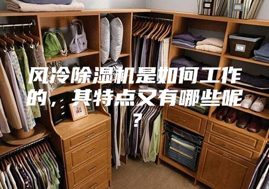 风冷除湿机是如何工作的，其特点又有哪些呢？