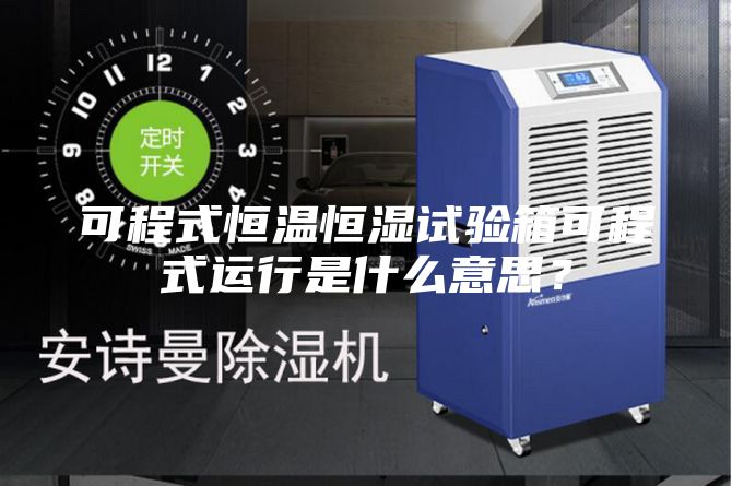 可程式恒温恒湿试验箱可程式运行是什么意思？
