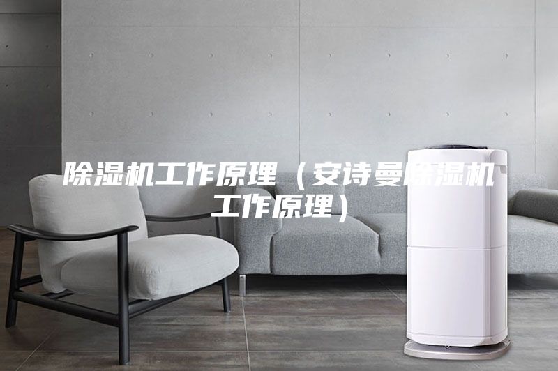 除湿机工作原理（安诗曼除湿机工作原理）