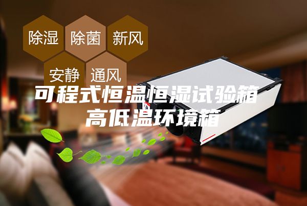 可程式恒温恒湿试验箱 高低温环境箱