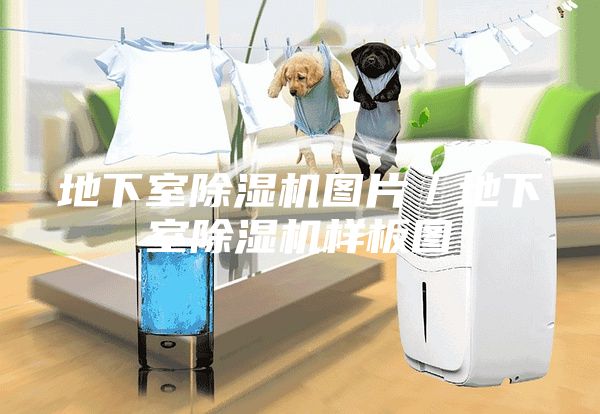 地下室除湿机图片／地下室除湿机样板图